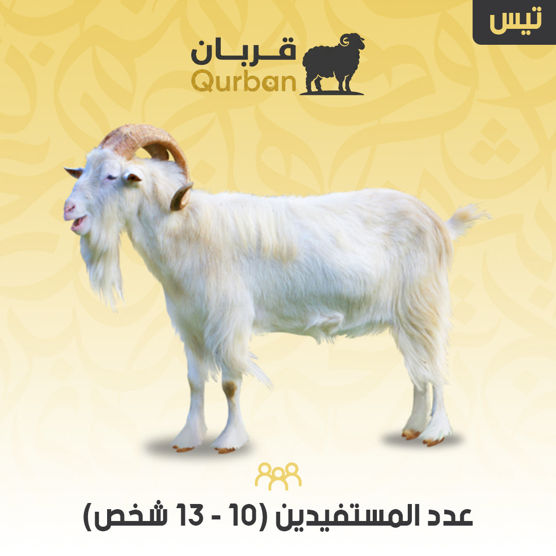 تيس – تنفيذ وتوثيق بالاسم