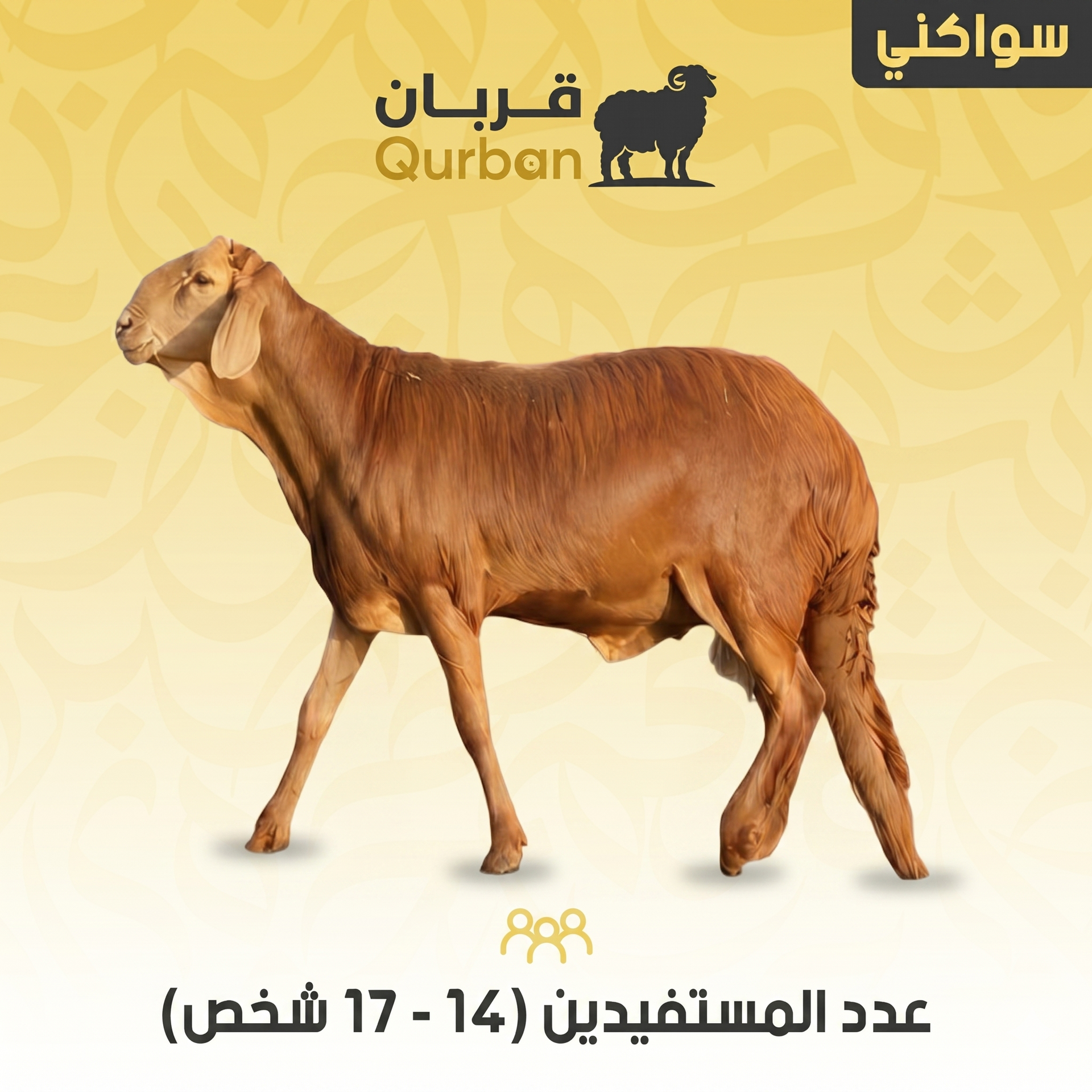 خروف (سواكني)