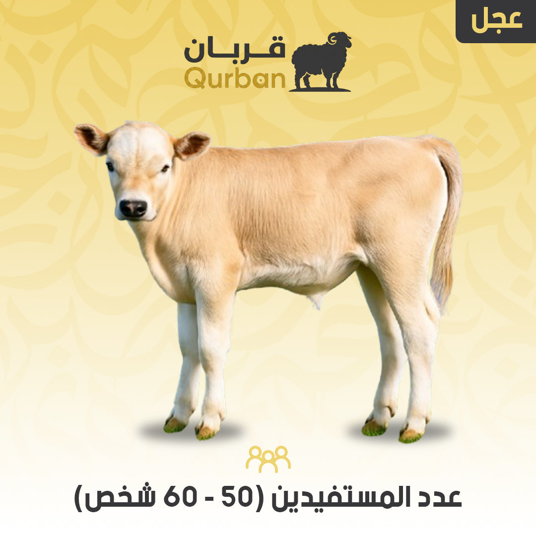 عجل – تنفيذ وتوثيق بالاسم